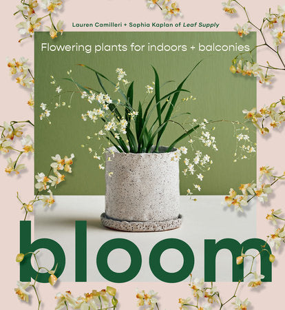 Bloom Hardcover by Lauren Camilleri & Sophia Kaplan