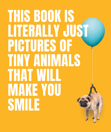 This Book Is Literally Just Pictures of Tiny Animals That Will Make You Smile Hardcover by Smith Street Books