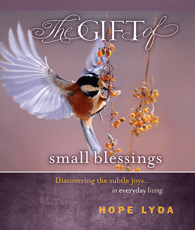 The Gift of Small Blessings Hardcover by Hope Lyda