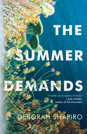 The Summer Demands Paperback by Deborah Shapiro