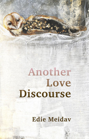 Another Love Discourse Paperback by Edie Meidav