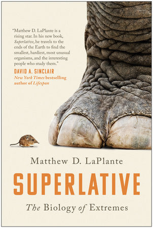 Superlative Paperback by Matthew D. LaPlante