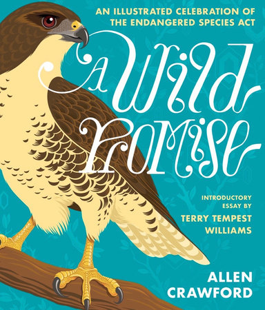 A Wild Promise: An Illustrated Celebration of The Endangered Species Act Hardcover by Allen Crawford