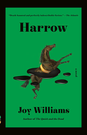 Harrow Paperback by Joy Williams
