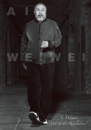Ai Weiwei Hardcover by Susanne Gaensheimer, Doris Krystof, Falk Wolf, Linda Walther, Rembert Hüser