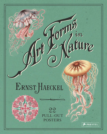 Art Forms in Nature Paperback by Ernst Haeckel, Kira Uthoff