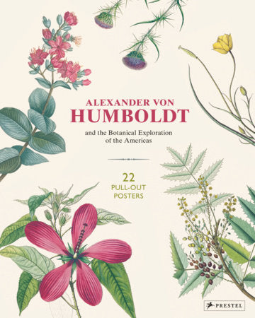 Alexander von Humboldt Botanical Illustrations Paperback by Otfried Baume