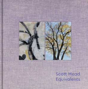 Equivalents Hardcover by Scott Mead