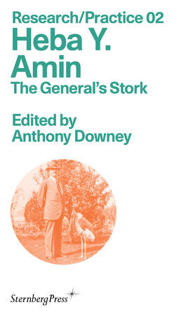 Heba Y. Amin Paperback by edited by Anthony Downey