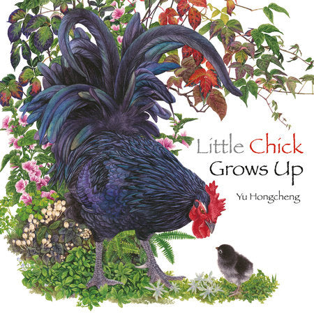 Little Chick Grows Up Hardcover by Yu Hongcheng