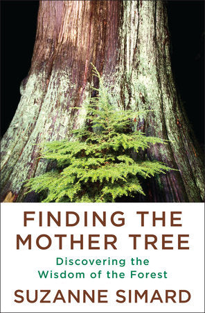 Finding the Mother Tree: Discovering the Wisdom of the Forest Hardcover written by Suzanne Simard - Best Book Store