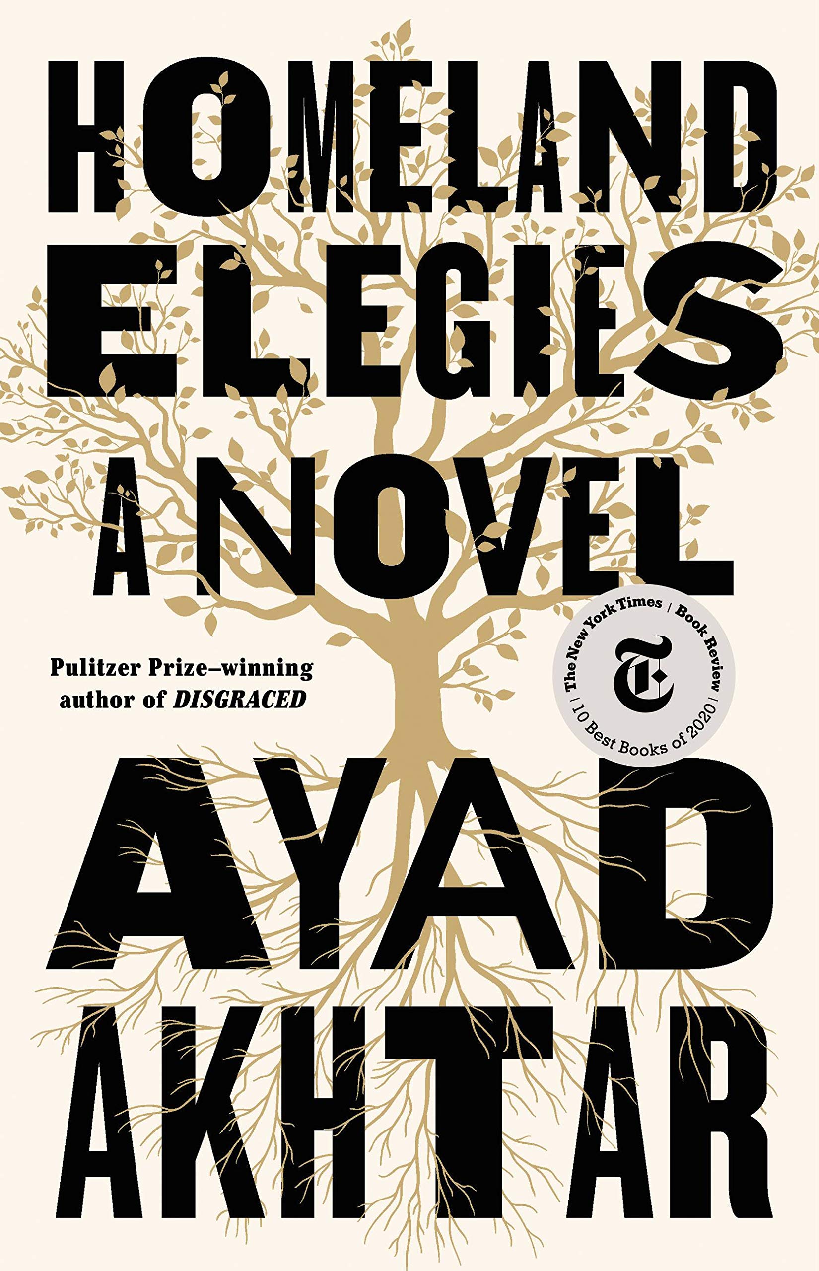 Homeland Elegies: A Novel Hardcover Ayad Akhtar