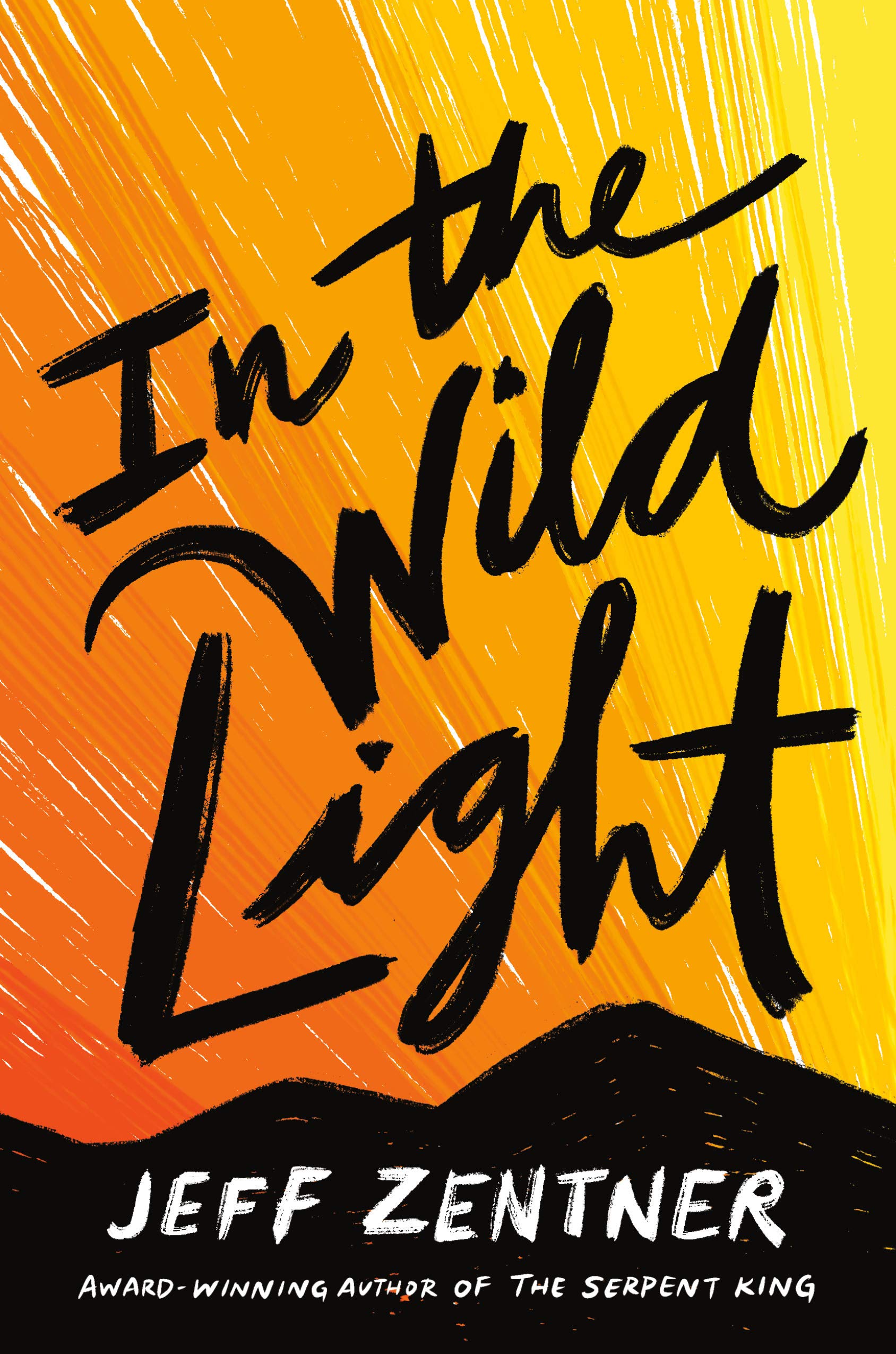 In the Wild Light Hardcover by Jeff Zentner