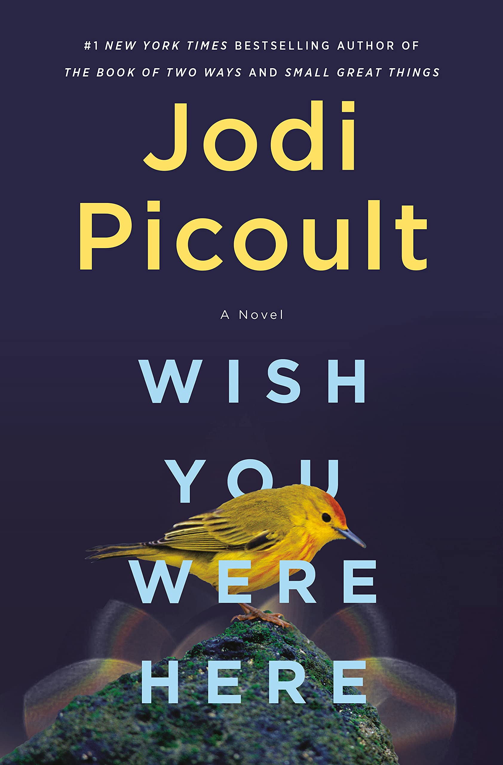 Wish You Were Here: A Novel Hardcover by Jodi Picoult